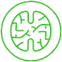 brain icon